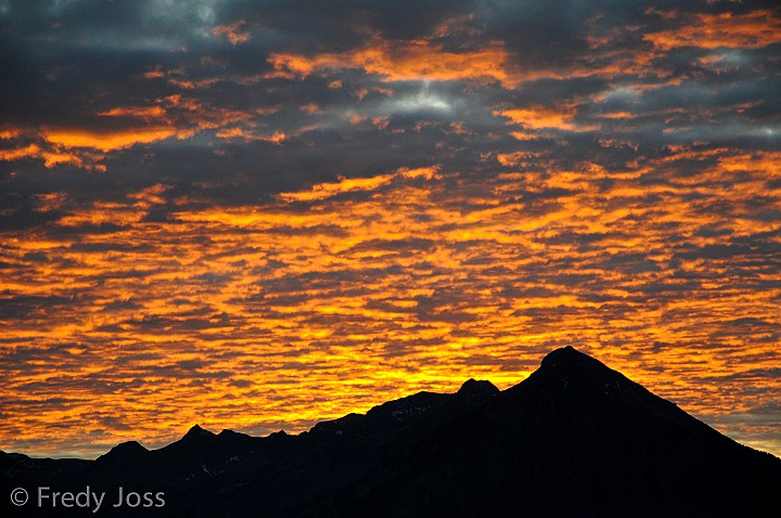 Niesen, Berner Oberland