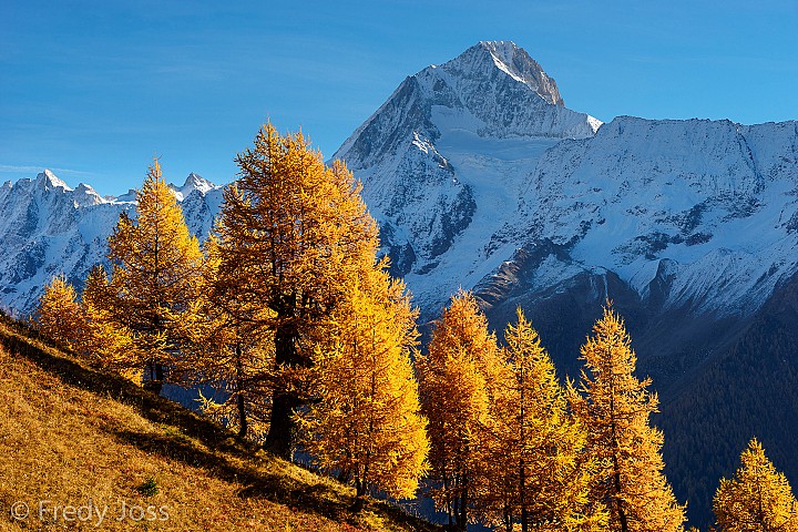 Bietschhorn, Lötschental