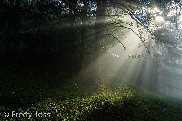 Bei Corcelles BE, Berner Jura
