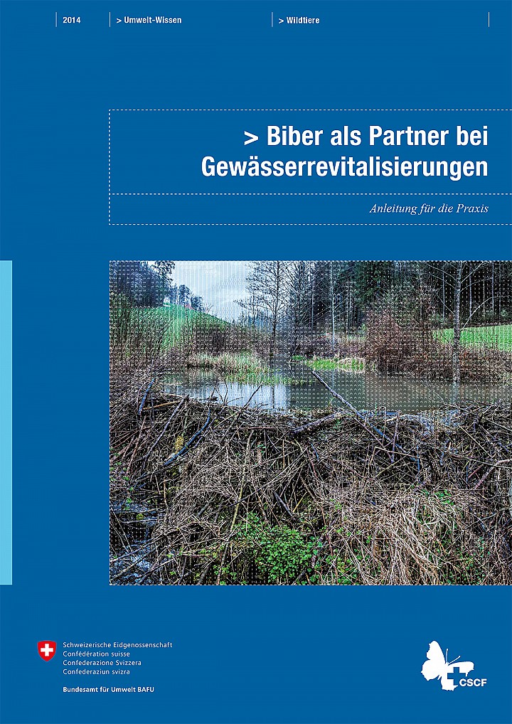 Biber als Partner bei Gewässerrevitalisierungen